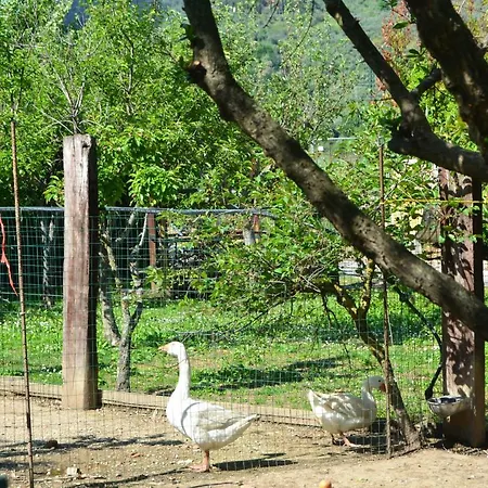 Bed & Breakfast Il Pruno San Giuliano Terme